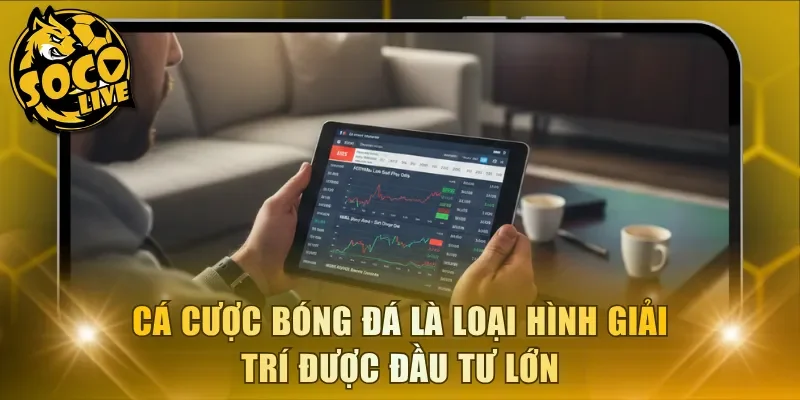 Cá cược bóng đá là loại hình giải trí được đầu tư lớn