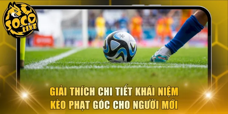Giải thích chi tiết khái niệm kèo phạt góc cho người mới