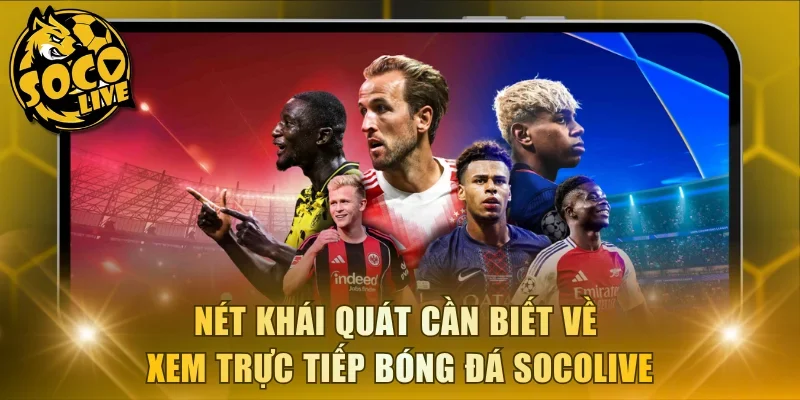 Nét khái quát cần biết về xem trực tiếp bóng đá Socolive