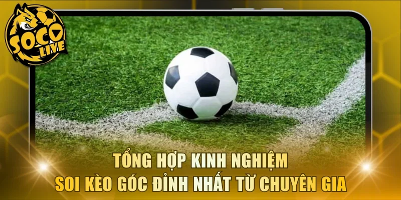 Tổng hợp kinh nghiệm soi kèo góc đỉnh nhất từ chuyên gia