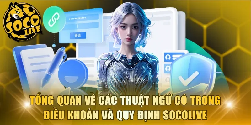 Tổng quan về các thuật ngữ có trong điều khoản và quy định Socolive